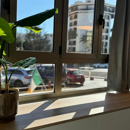 Danubio Estudios 107