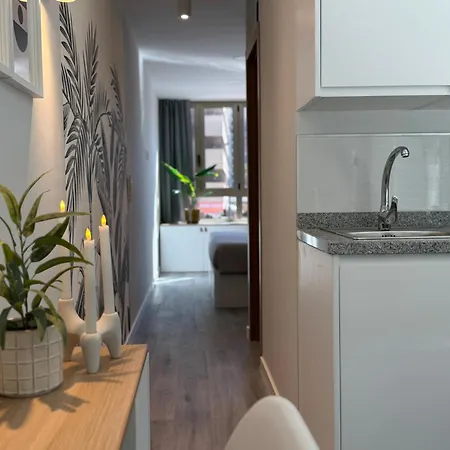 Apartman Danubio Estudios 107 *