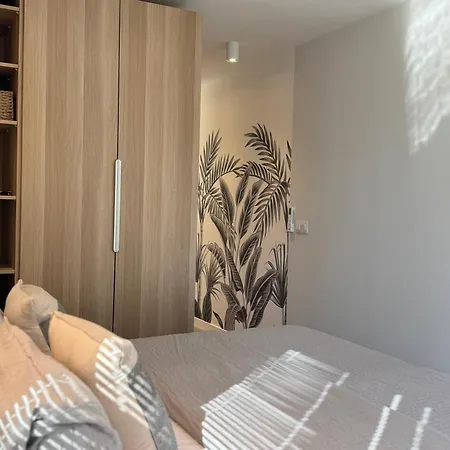 Apartman Danubio Estudios 107 *