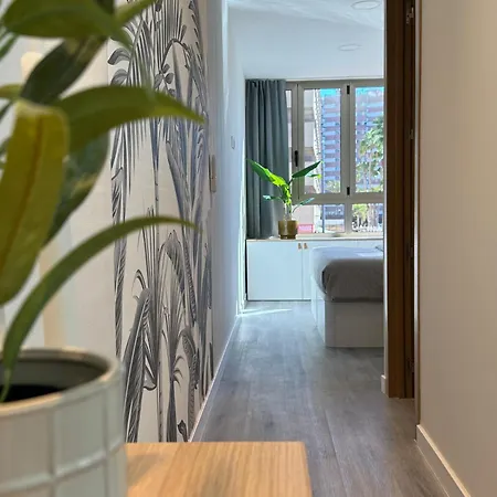 Apartman Danubio Estudios 107 *